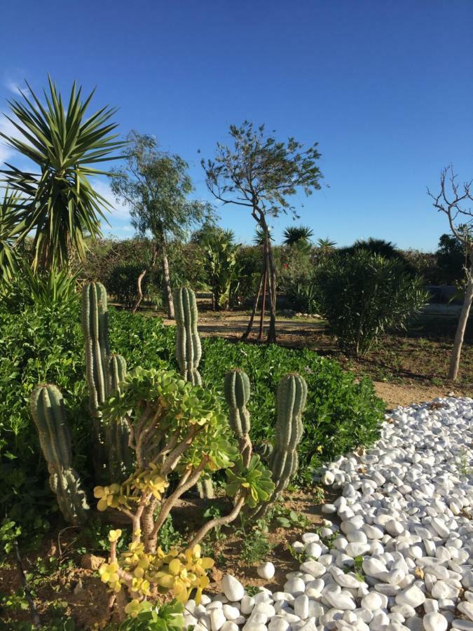 Apartament Finca Du Ressourcement Higueron Vejer de la Frontera Zewnętrze zdjęcie