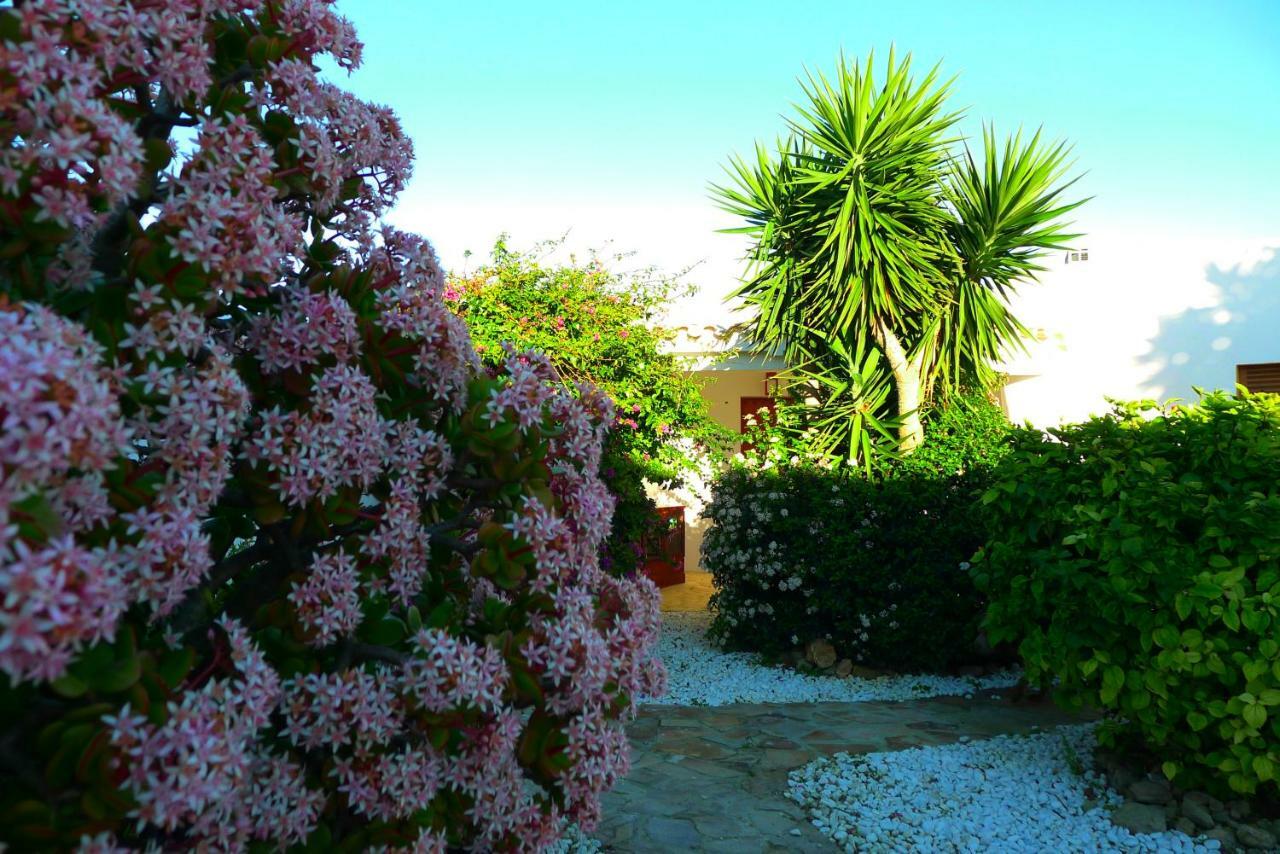 Apartament Finca Du Ressourcement Higueron Vejer de la Frontera Zewnętrze zdjęcie