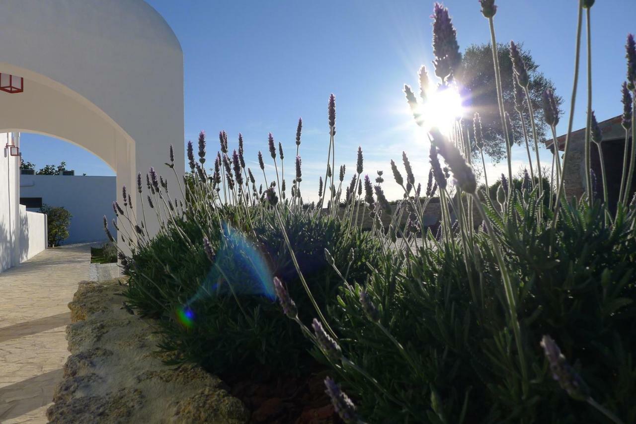 Apartament Finca Du Ressourcement Higueron Vejer de la Frontera Zewnętrze zdjęcie