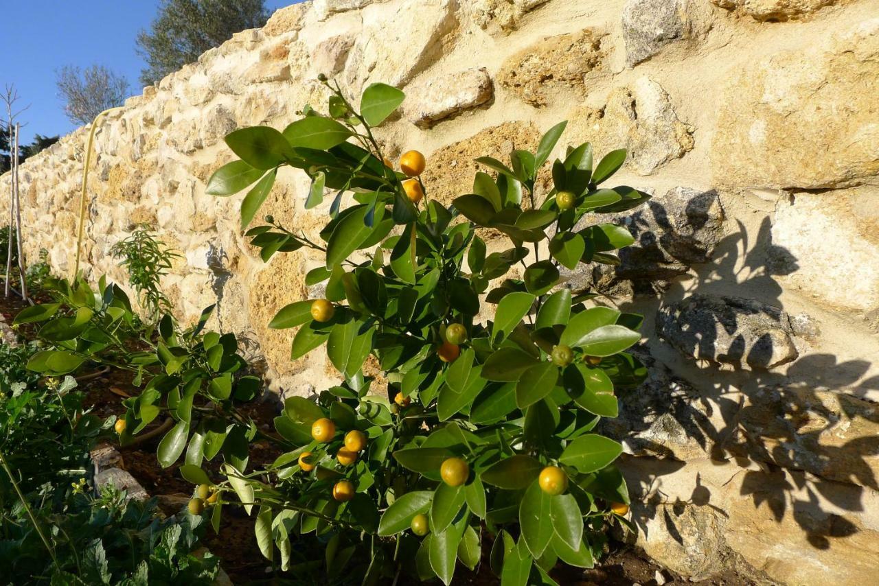 Apartament Finca Du Ressourcement Higueron Vejer de la Frontera Zewnętrze zdjęcie