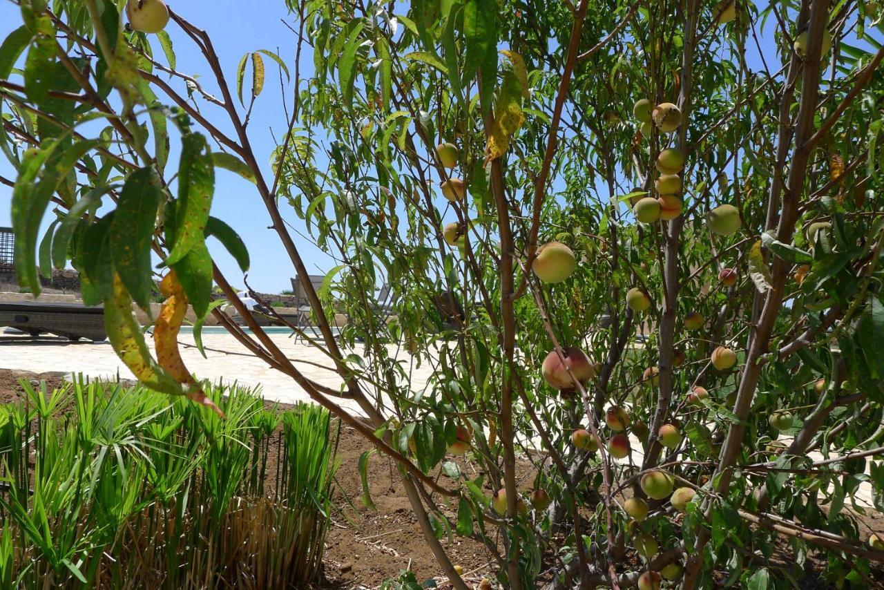 Apartament Finca Du Ressourcement Higueron Vejer de la Frontera Zewnętrze zdjęcie