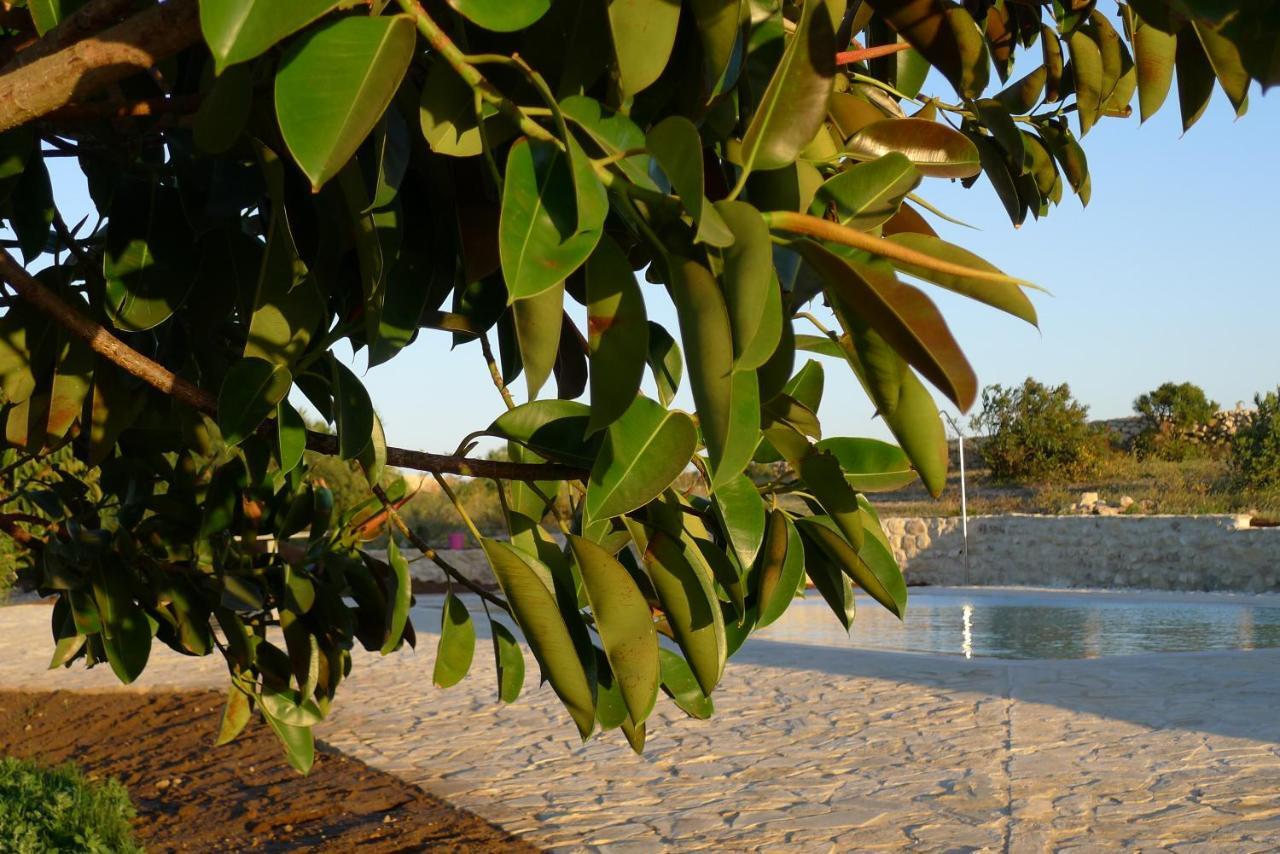 Apartament Finca Du Ressourcement Higueron Vejer de la Frontera Zewnętrze zdjęcie